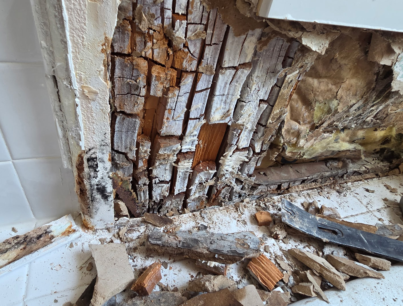 Mold remediation specialist treating affected wall and ceiling materials